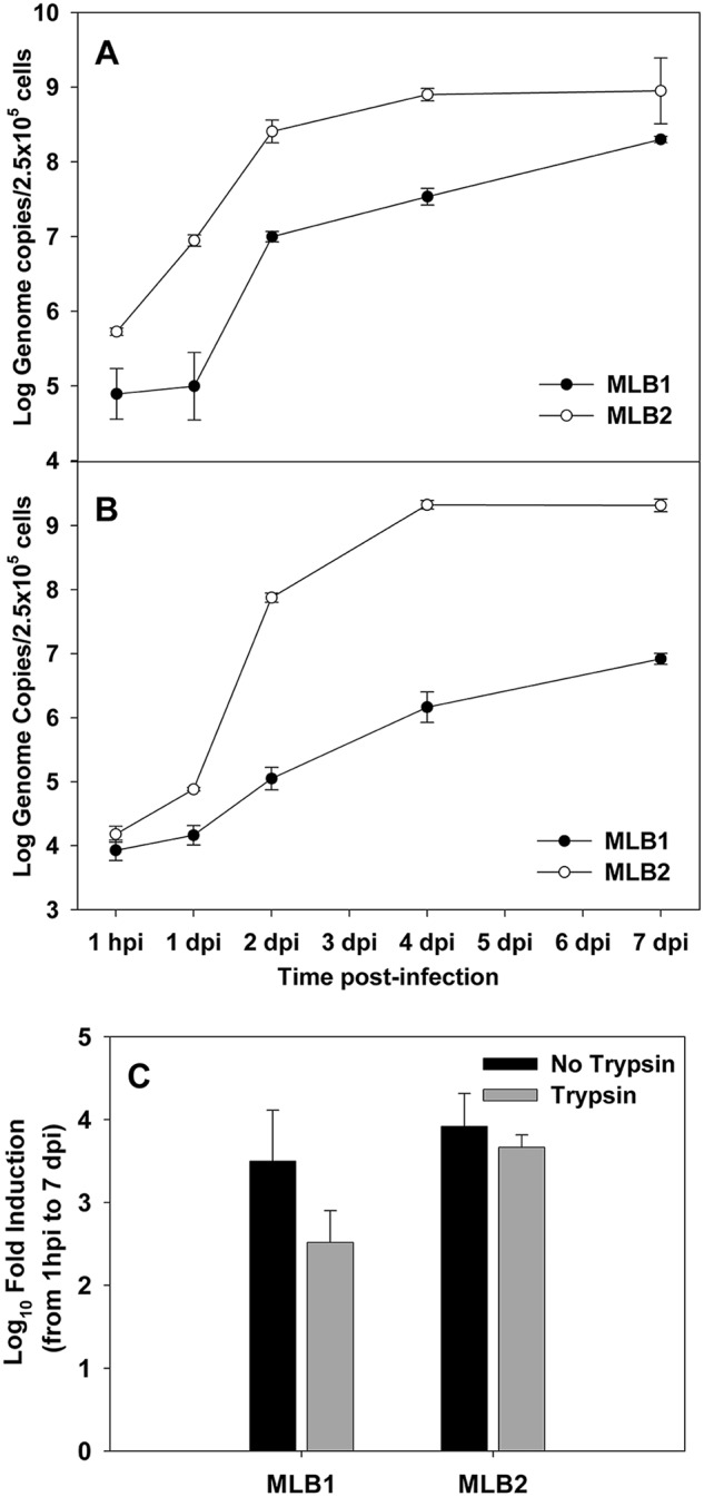 FIG 3