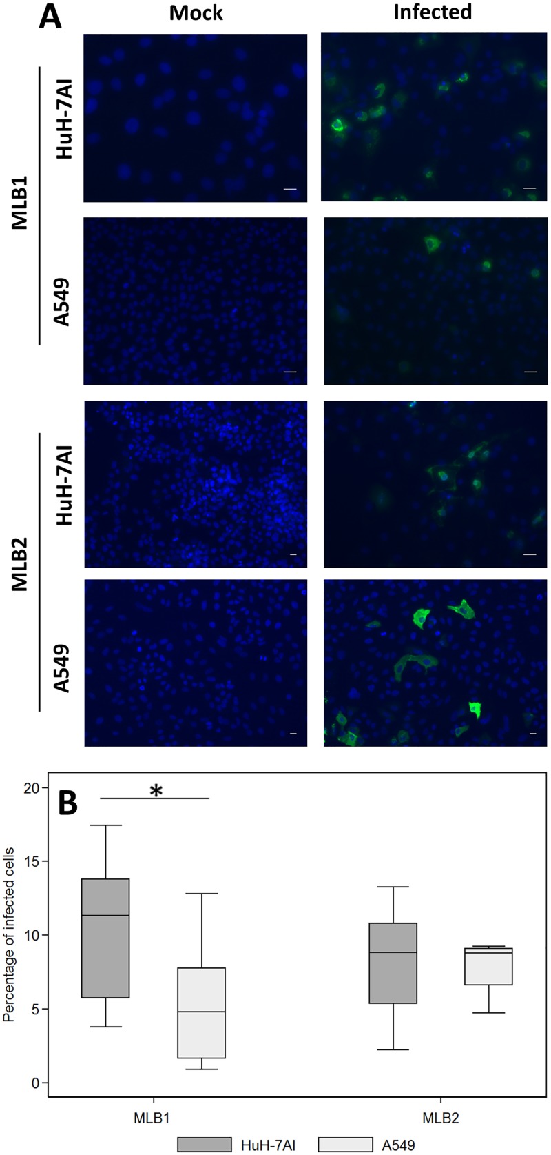 FIG 6