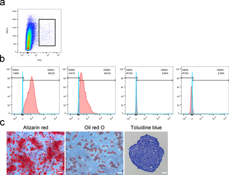 Figure 3—figure supplement 1.