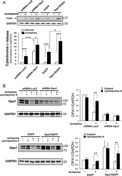 Figure 6