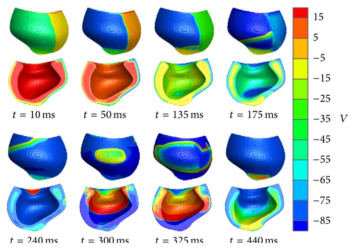 Figure 5