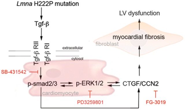 Figure 9.