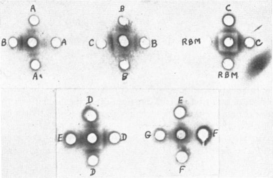 FIG. 5