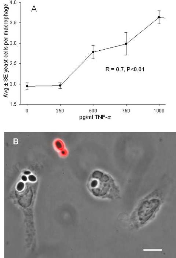 FIG. 7