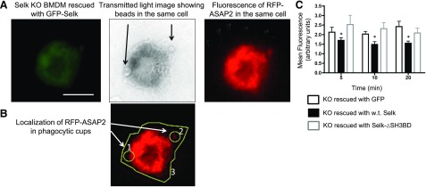 Figure 6.