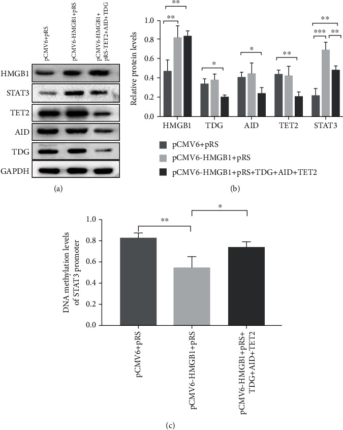 Figure 5