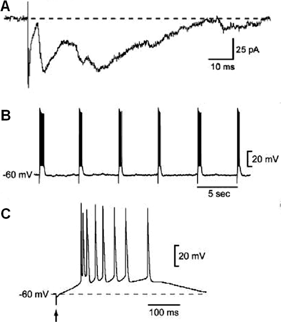 Fig. 8