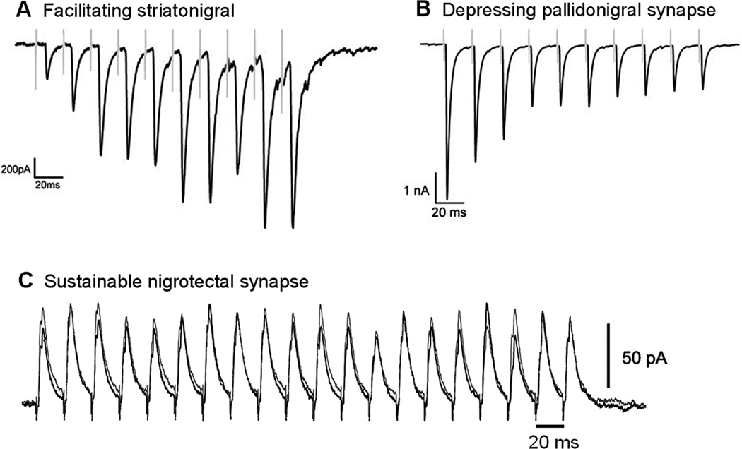 Fig. 7