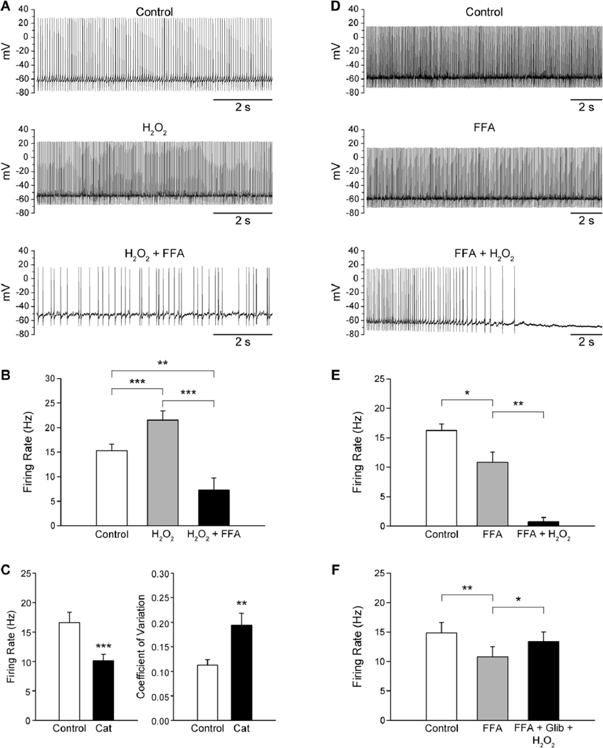 Fig. 11