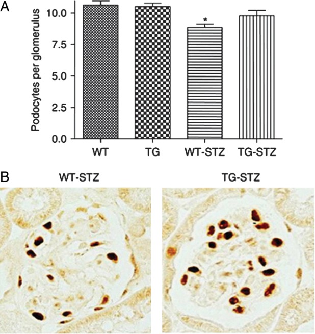 FIGURE 2: