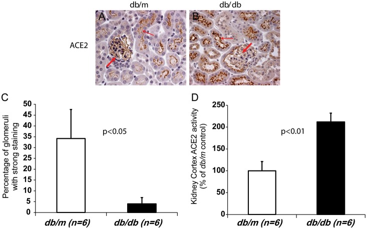 FIGURE 1: