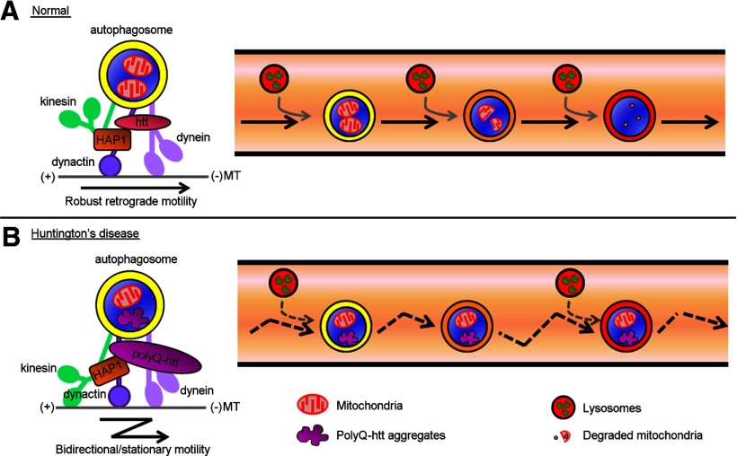 Figure 10.