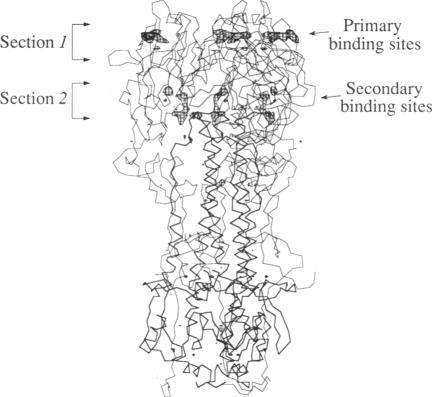 graphic file with name pnas01075-0341-a.jpg