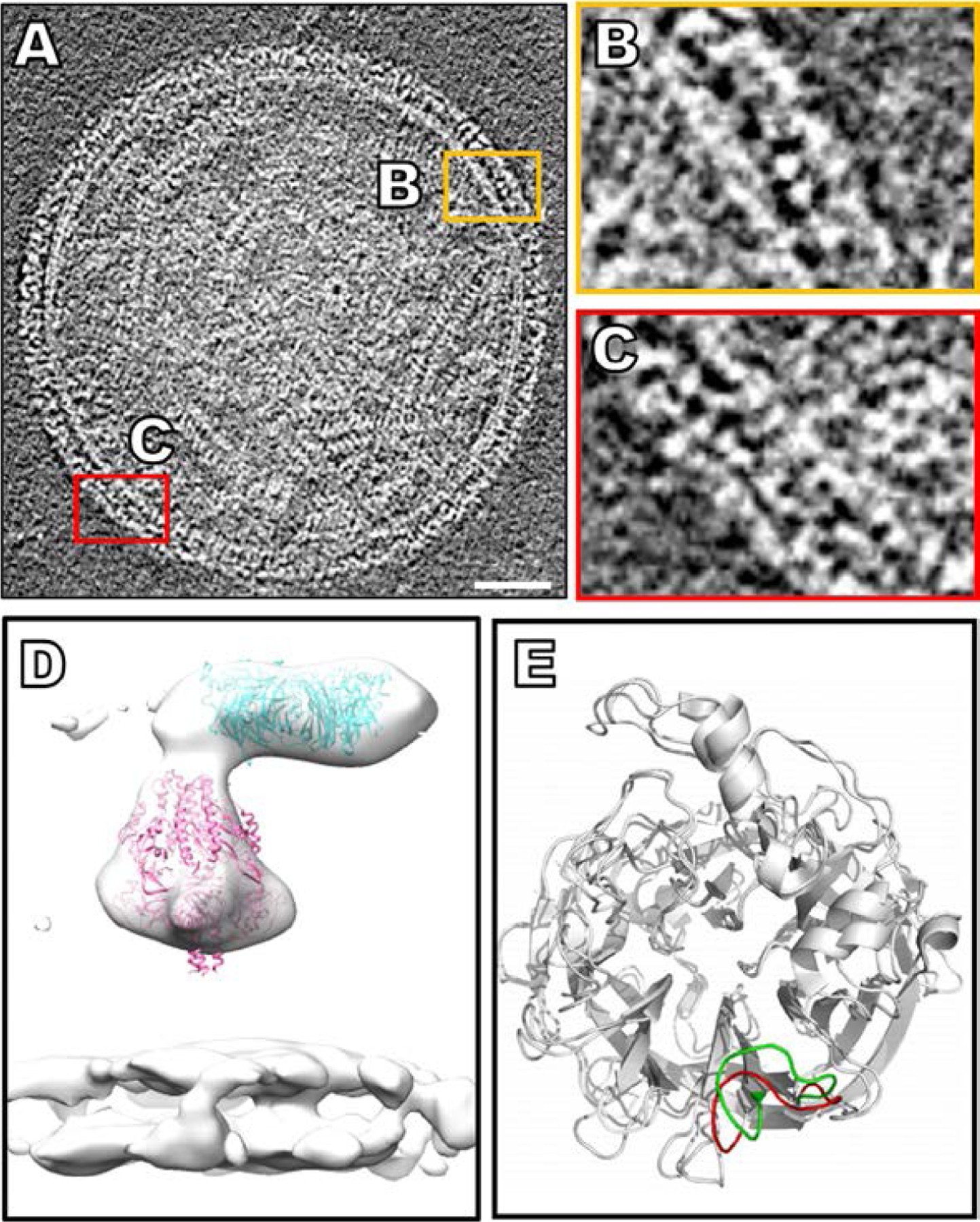 Fig. 2