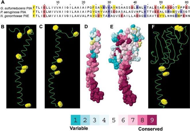 FIG 6 