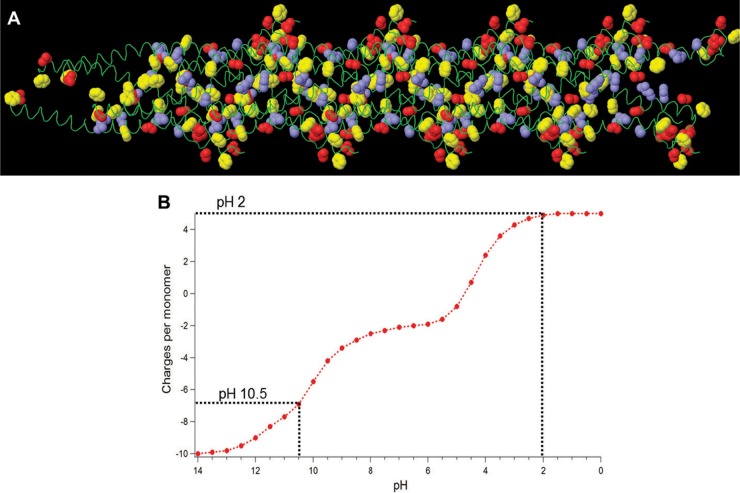 FIG 8 