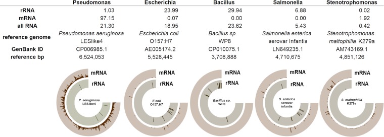 FIG 2