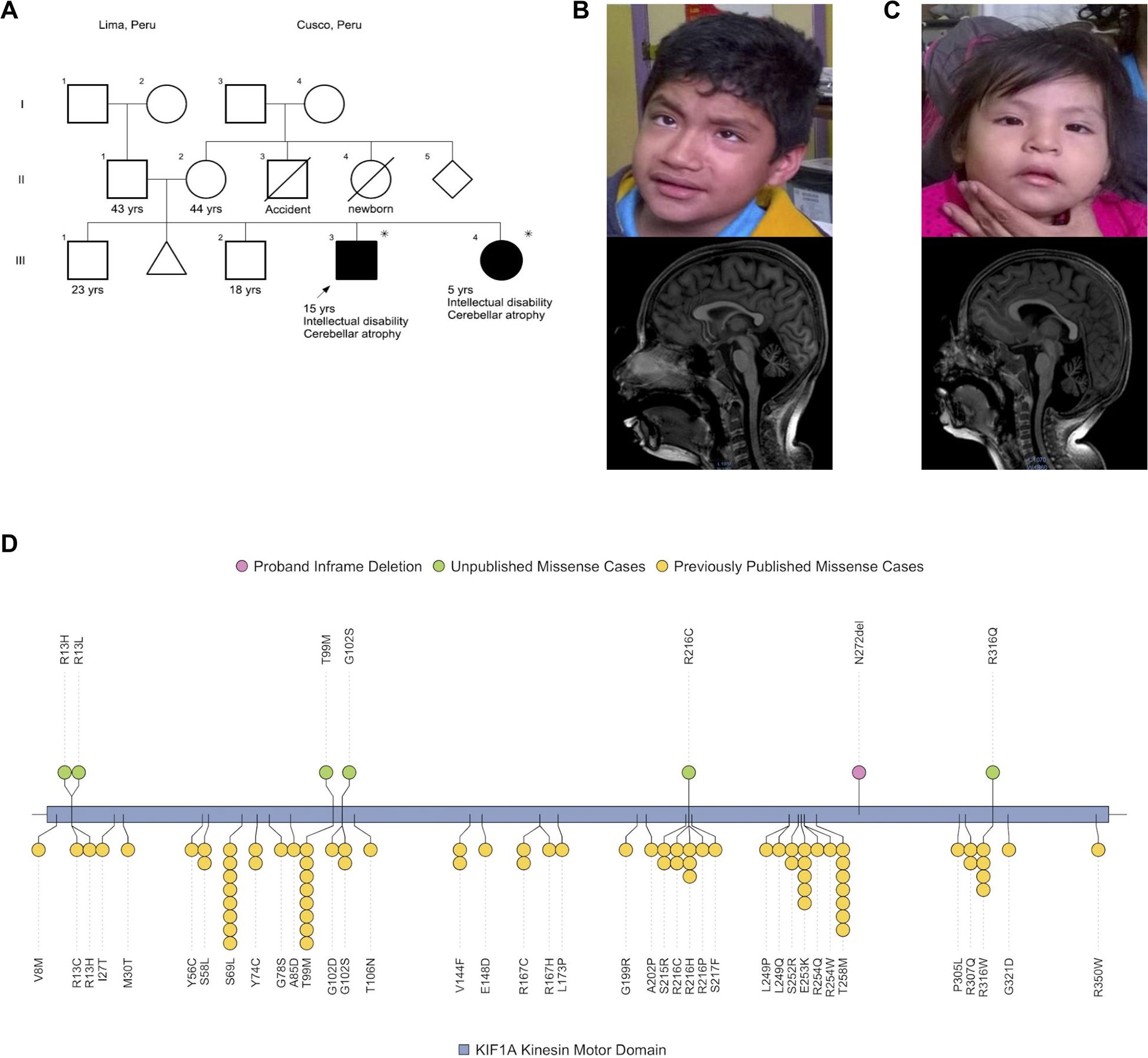 Figure 1 –