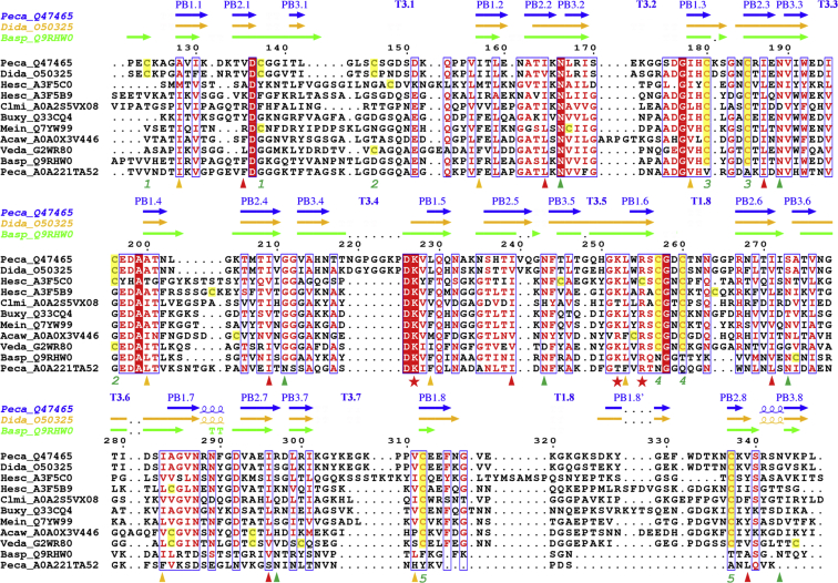 Figure 2