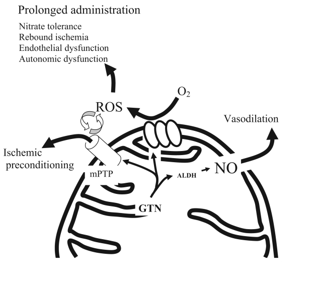 Figure 3)