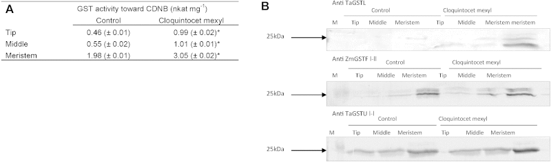 graphic file with name fx3.gif