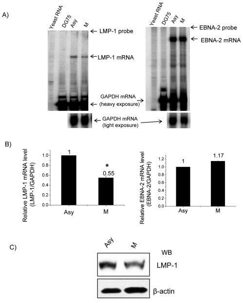 FIG. 6.