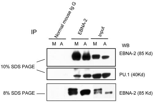 FIG. 5.