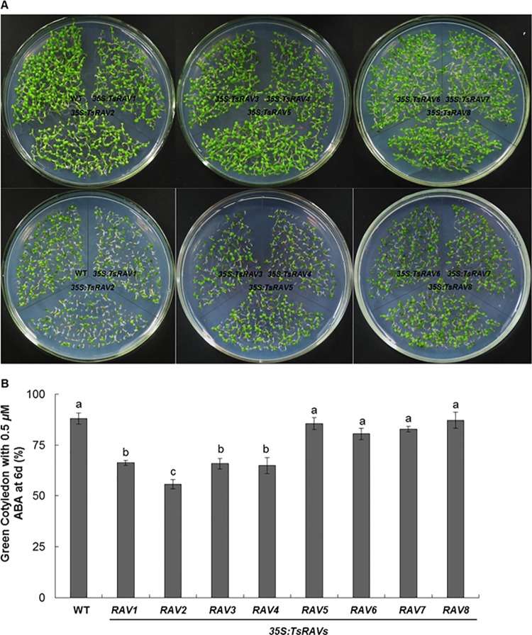 Fig 6