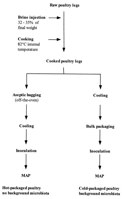 FIG. 1