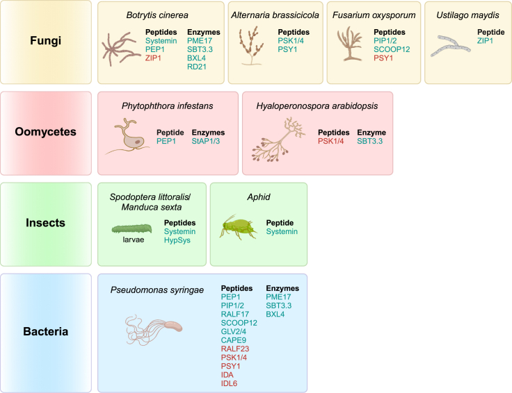 Figure 4