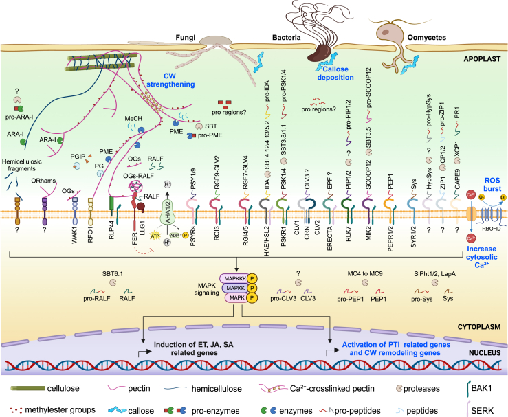 Figure 3