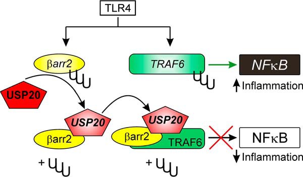 FIGURE 12.