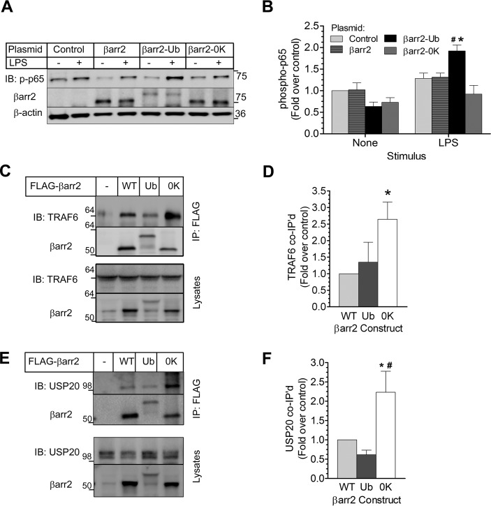 FIGURE 11.