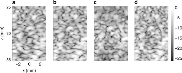 Fig. 7