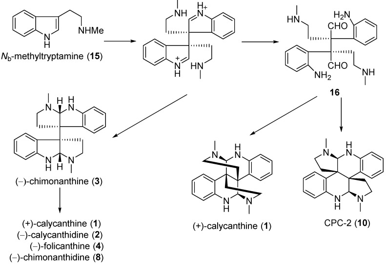 Scheme 1