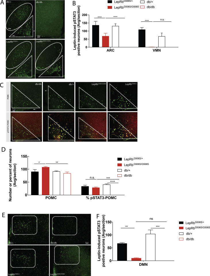 Figure 3