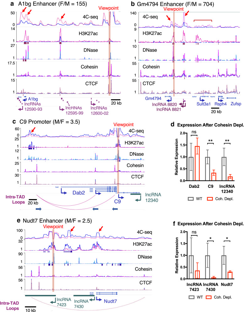 Fig. 4