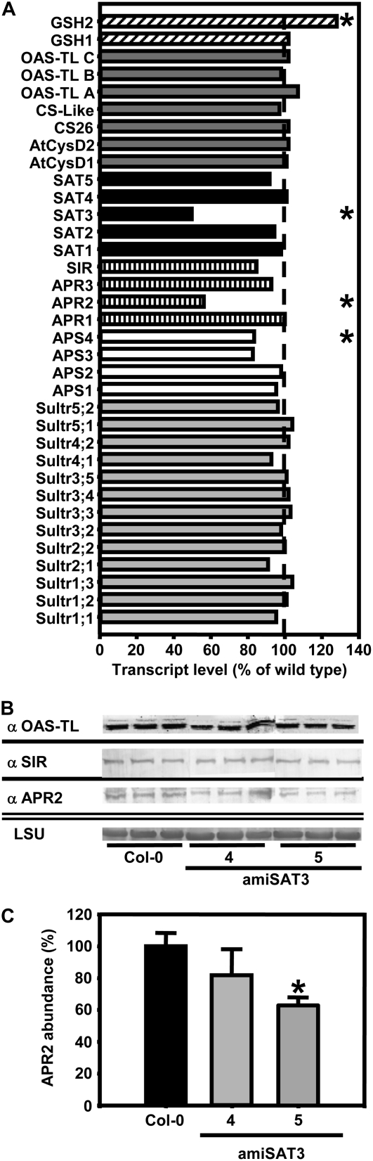 Figure 7.