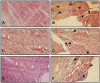 Fig. (5)