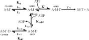 SCHEME 2.