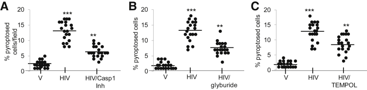 Figure 7