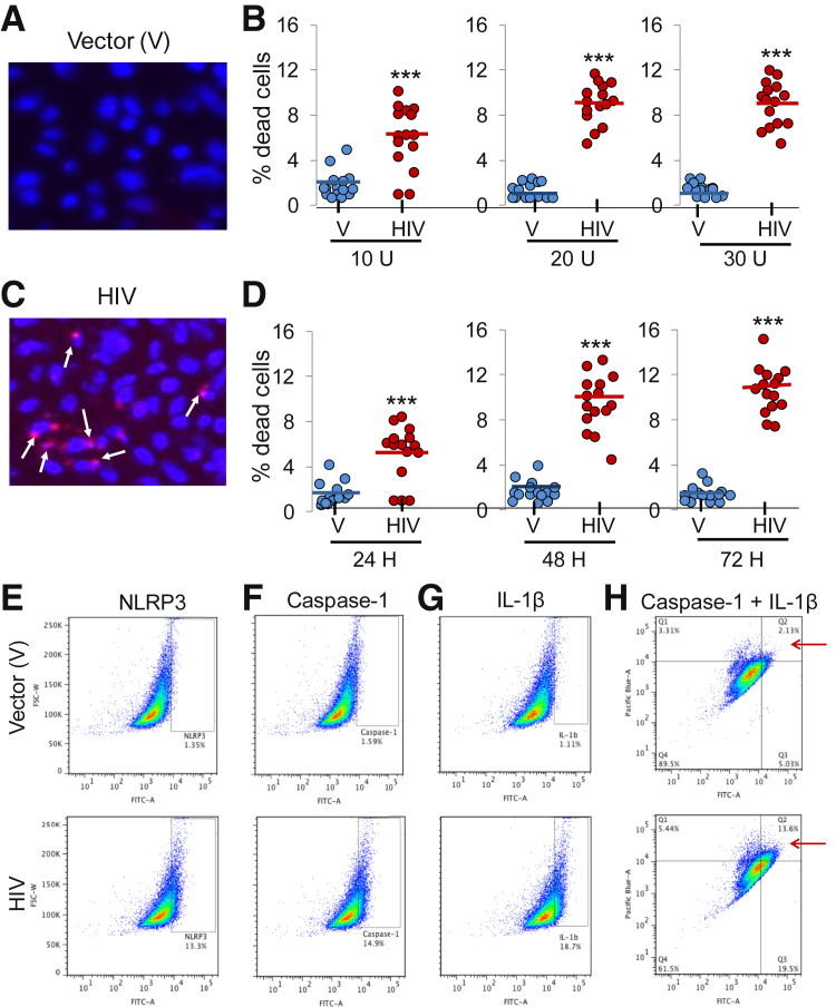 Figure 4