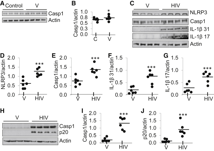 Figure 5