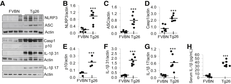 Figure 3