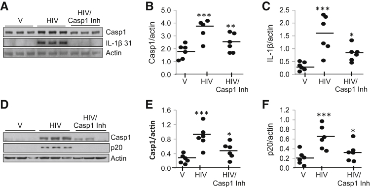 Figure 6