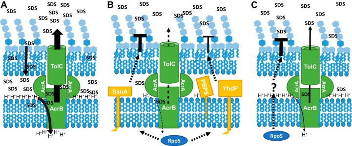 FIG 8