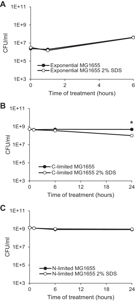 FIG 1