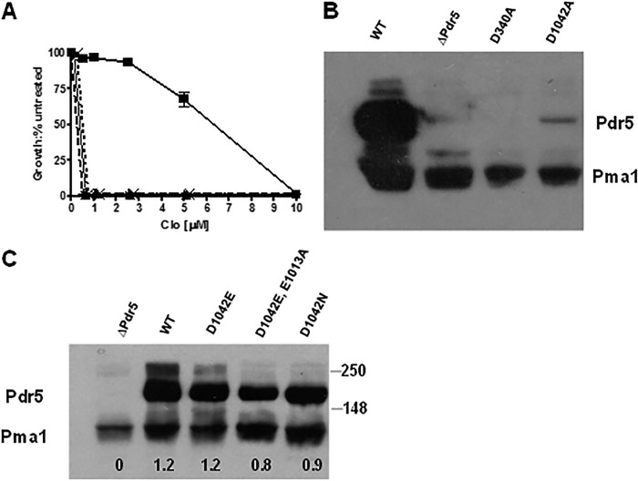 FIGURE 5.