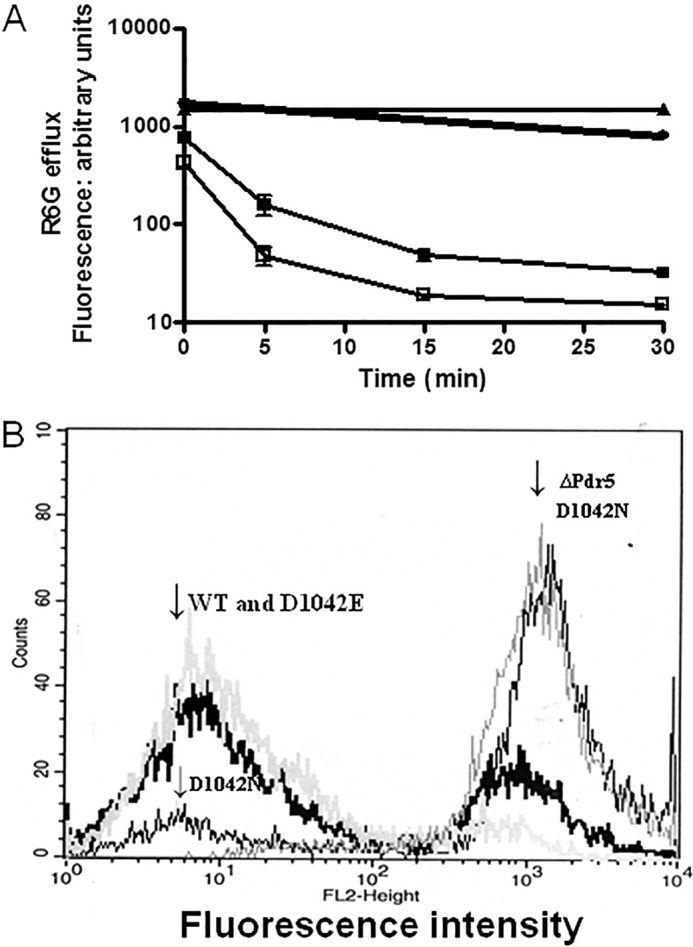 FIGURE 7.