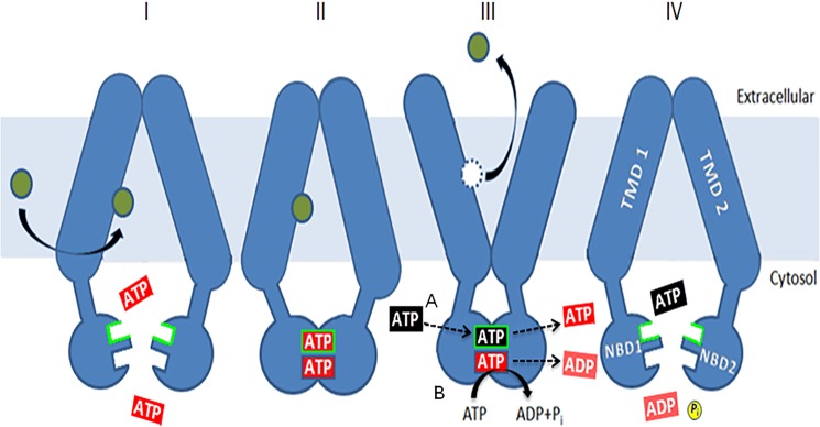 FIGURE 12.